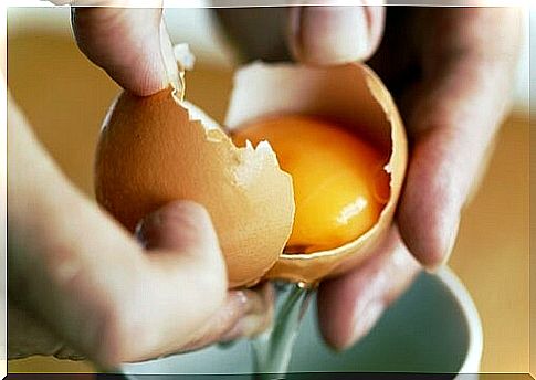 Eggs are foods that melt fats