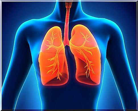 There are many benefits of red wine for the respiratory system