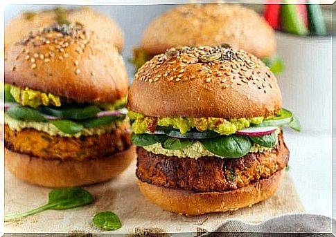 2 recipes of delicious vegetarian burgers