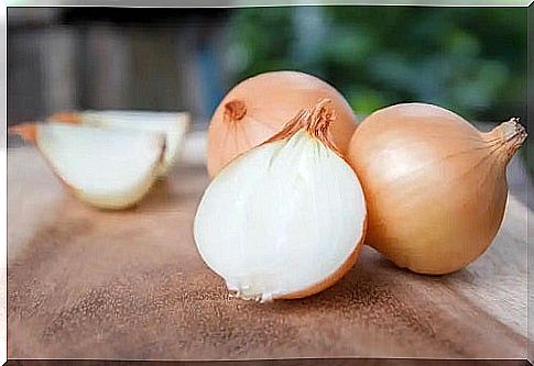 White onion for salsa sauce