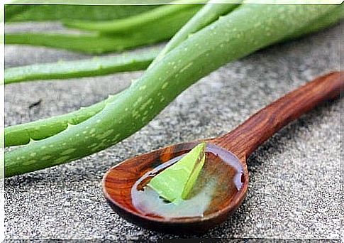 Aloe vera on the list of simple remedies for droopy eyelids