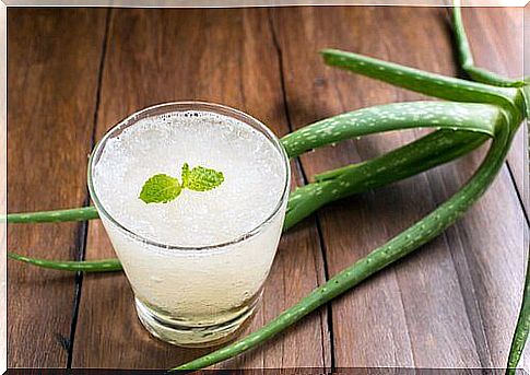 Aloe vera takes care of the heart by lowering cholesterol levels