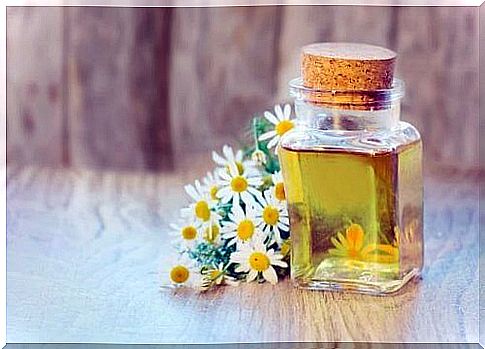 Chamomile oil relieves pain caused by arthritis