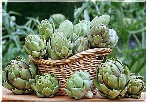 Artichokes on the list of foods that lower uric acid levels