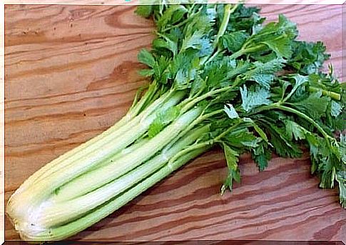 Foods that lower uric acid levels like celery