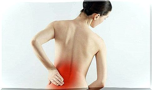 Osteoarthritis on the list of medical causes of low back pain