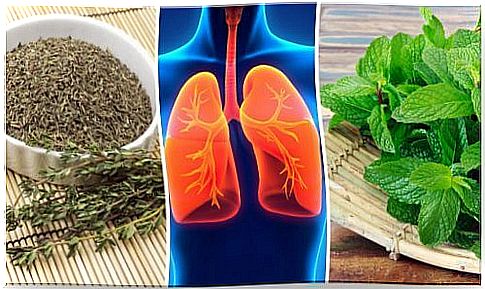 8 plants that keep your lungs healthy