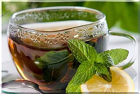 Drinks that speed up the metabolism with mint