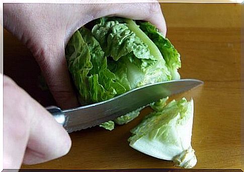 Lettuce is one of the fresh foods that can be frozen