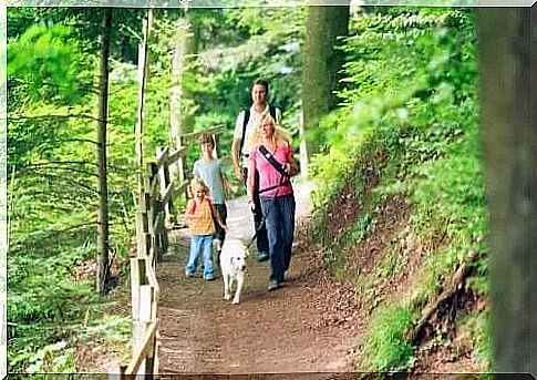 Family hiking in the mountains