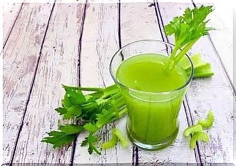 Benefits of celery juice and contraindications