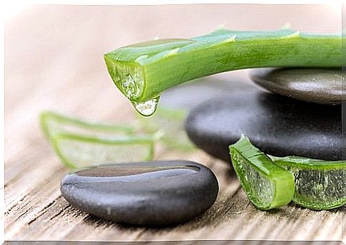 Bleeding hemorrhoids that can be treated with aloe vera