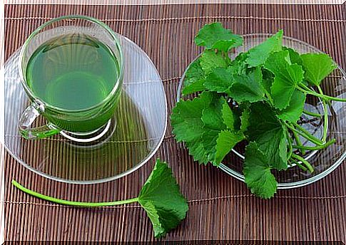 Celery tea is a moisturizing and nourishing drink