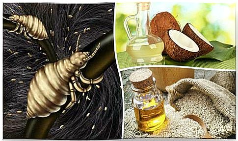 Eliminate lice with 5 natural remedies