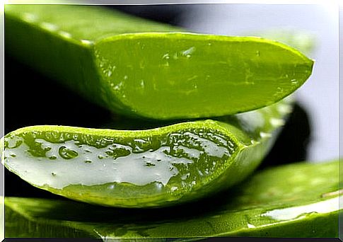 Aloe vera strengthens the nails