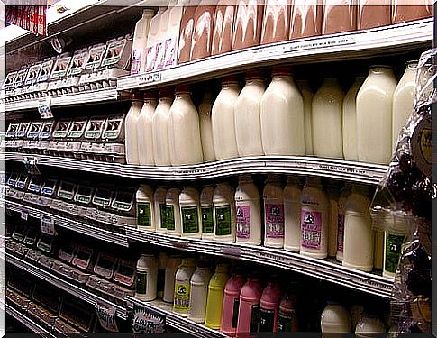 Consumption of dairy products is one of those habits that affect the intestines