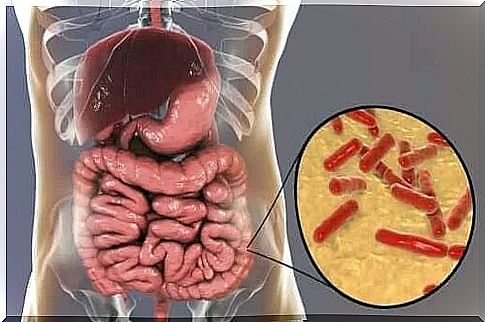 How do you recognize the imbalances of the intestinal microbiota?