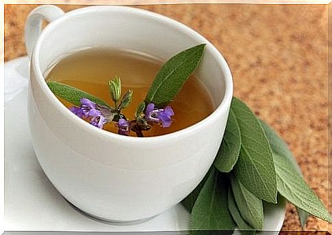 Burn abdominal fat with sage tea