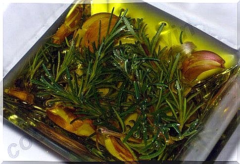 Medicinal plants that give you energy like rosemary