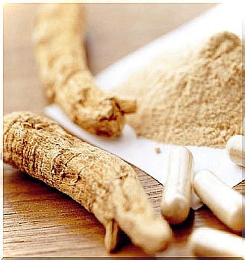 Medicinal plants that give you energy like ginseng