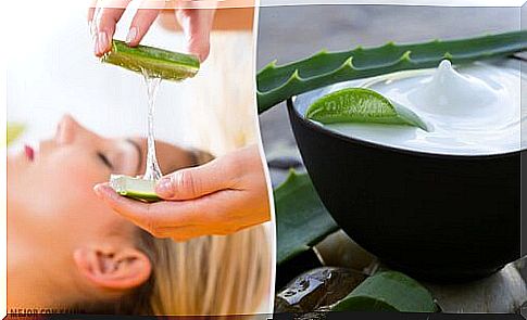 Recipes for natural cleansers with aloe vera