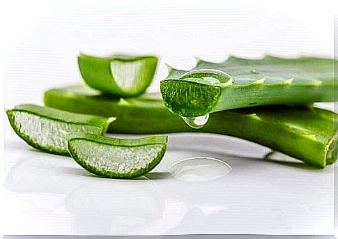 Aloe vera gel for natural cleansing recipes 