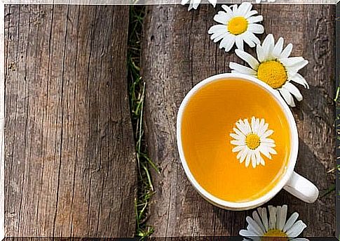 The benefits of fresh chamomile tea