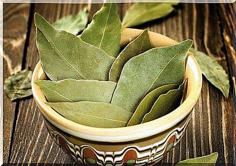 Treatment for diabetes with bay leaves