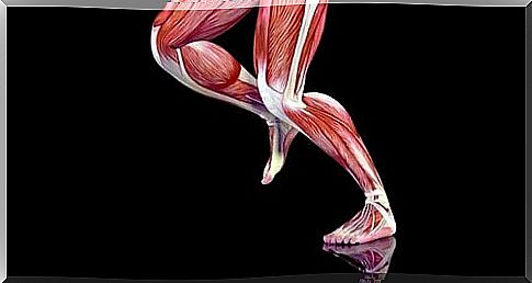 Trigger points in the leg muscles