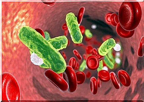 Microbes in the blood