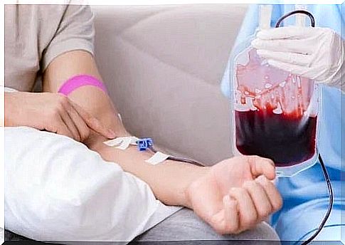 Person who donates on World Blood Donor Day